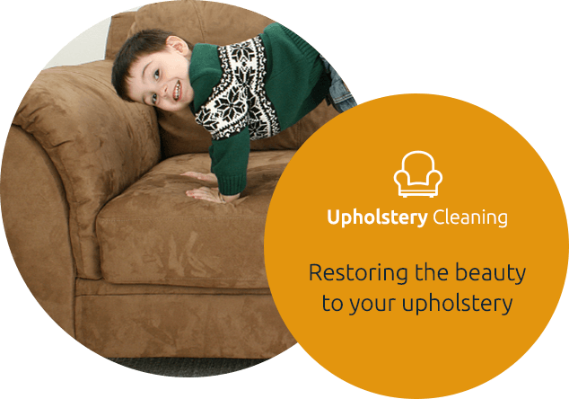 Upholstery Cleaning in Wayne, NJ