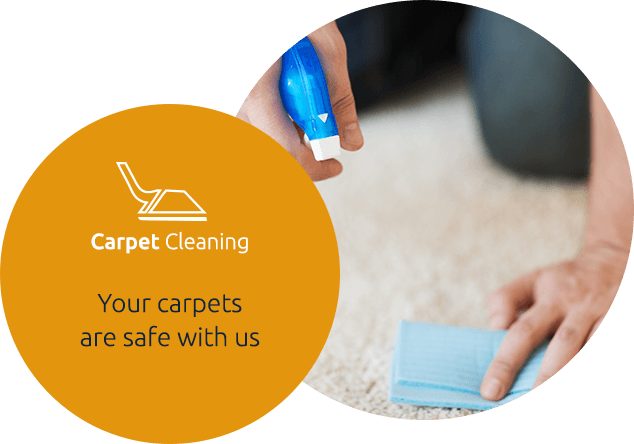 Carpet Steam Cleaning Service in Wayne, NJ