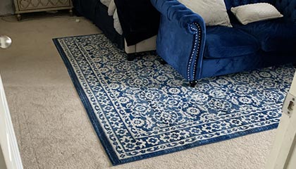 Area Rug Cleaning Service in Wayne, NJ